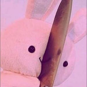 Meet your Posher, Katelyn